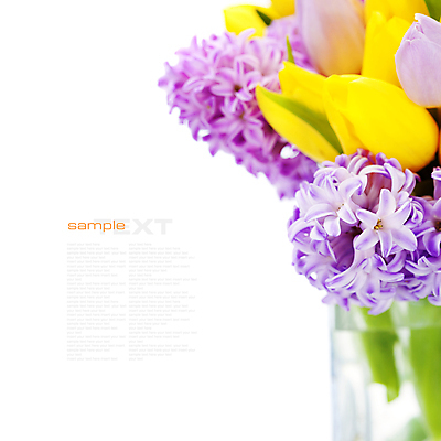 포토 JPG 해외이미지 꽃다발 봄꽃 실내 근접촬영 타이포그라피 사람없음 꽃병 튤립 흰배경 히아신스 카피스페이스 해외202004 해외포토 문자 꽃 뷰포인트 백그라운드 내부 봄 공백 흰색 파일형식