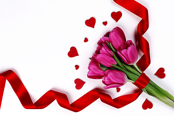 포토 JPG 해외이미지 모양 디자인 꽃 리본 종이 분홍색 결혼 백그라운드 컨셉 텍스트 휴가 프레임 발렌타인데이 선물 사랑 이벤트 사람없음 장식 빨간색 우주 놀람 낭만 튤립 벚꽃 흰색 하트 축하 인사 신용카드 날짜 심볼 활 패키지 2월 고립 카피스페이스 해외202004 해외202105 해외포토 식물 감정 컬러 데이이벤트 표정 금융 공백 예절 파일형식