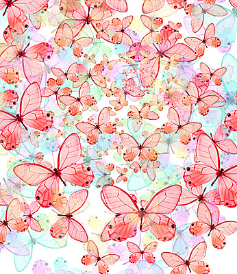 포토 JPG 해외이미지 동물 야생동물 나비 곤충 백그라운드 날개 자연 벽지 안테나 사람없음 봄 질감 공상 해외202004 해외202105 해외포토 계절 통신 생태계 파일형식