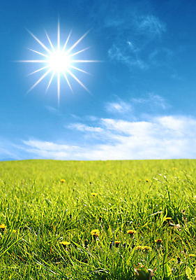 포토 JPG 해외이미지 계절 백그라운드 밭 농업 추상 풍경 잔디 사람없음 초록색 여름 빛 농장 평화 맑음 봄 자유 전원 시골 남색 순수 수평선 해외202004 해외202105 해외포토 식물 산업 컬러 컨셉 무늬 날씨 전기에너지 파일형식