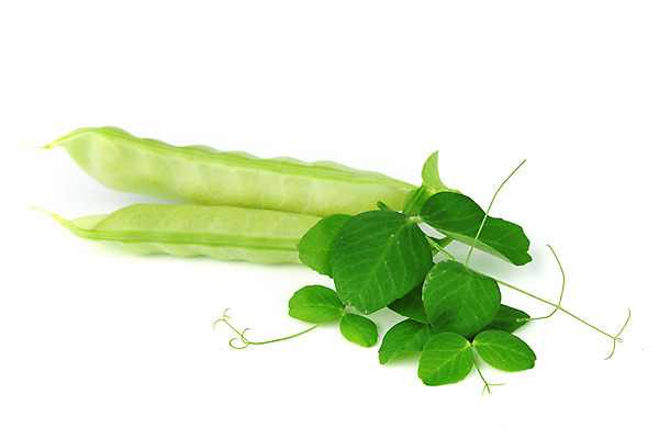 포토 JPG 해외이미지 식물 라이프스타일 계절 꽃잎 음식 줄기 백그라운드 잎 패턴 곡선 다이어트 채소 과일 자연 건강 요리 씨앗 사람없음 초록색 농작물 약 정원 수확 성장 흰색 신선 오픈 그룹 시장 닫기 달콤 먹기 오브젝트 유기농 완두콩 날것 내추럴 고립 꼬투리 숙성 줄서기 해외202004 해외202105 해외포토 웰빙 꽃 선 컬러 무늬 농업 의학 모션 콩 생활 맛 생태계 파일형식