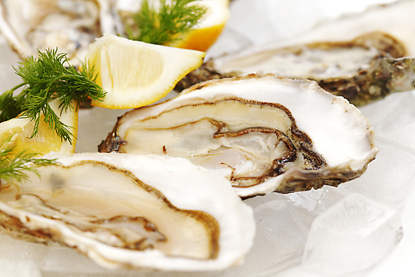 포토 JPG 해외이미지 식재료 실내 근접촬영 사람없음 아웃포커스 얼음 굴 신선 레몬 흰배경 해외202004 해외202105 해외포토 자연요소 뷰포인트 백그라운드 과일 어패류 촬영기법 내부 흰색 파일형식