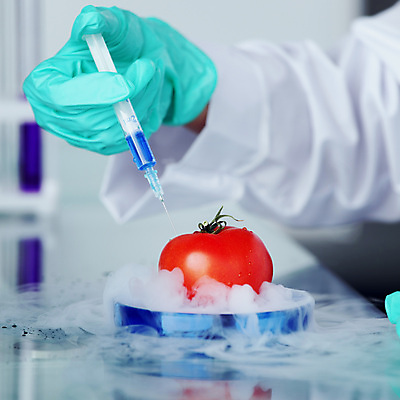 포토 JPG 해외이미지 학생 손 여자 남자 음식 과학 백그라운드 잎 농업 다이어트 토마토 채소 과일 공장 건강 실험 주사기 요리 사람없음 빨간색 초록색 정원 교수 흰색 신선 작업 그룹 실험실 맛 떨어짐 보호 DNA 먹기 과학자 싱글 미생물 고립 유전 유전자변형 화학물질 해외202004 해외202105 해외포토 식물 직업 산업 컬러 컨셉 공업 의료기기 모션 생물 사람 신체부위 교사 화학 생명공학 학자 파일형식