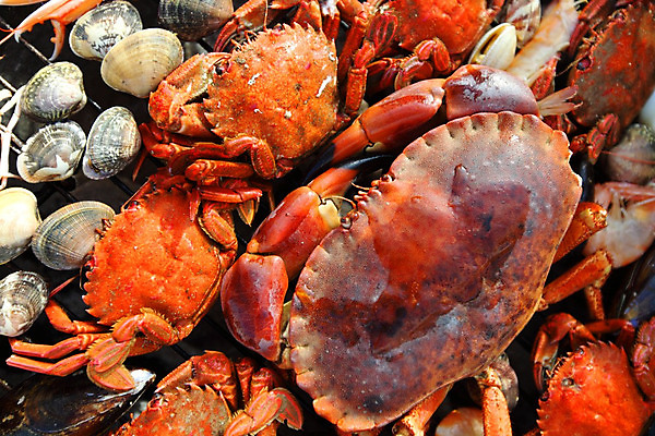 포토 JPG 해외이미지 조개 사람없음 게 신선 그릴 바비큐 굽기 해산물 집게발 해외202004 해외202105 해외포토 음식 주방용품 어패류 갑각류 구이 파일형식