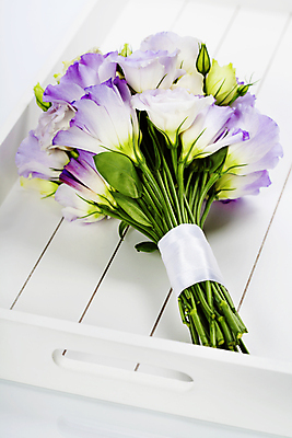 포토 JPG 해외이미지 부케 실내 사람없음 흰배경 나무쟁반 리시안셔스 해외202004 해외포토 꽃다발 백그라운드 쟁반 내부 목재 흰색 파일형식