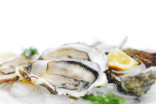 포토 JPG 해외이미지 식재료 실내 근접촬영 사람없음 아웃포커스 얼음 굴 신선 레몬 흰배경 해외202004 해외202105 해외포토 자연요소 뷰포인트 백그라운드 과일 어패류 촬영기법 내부 흰색 파일형식