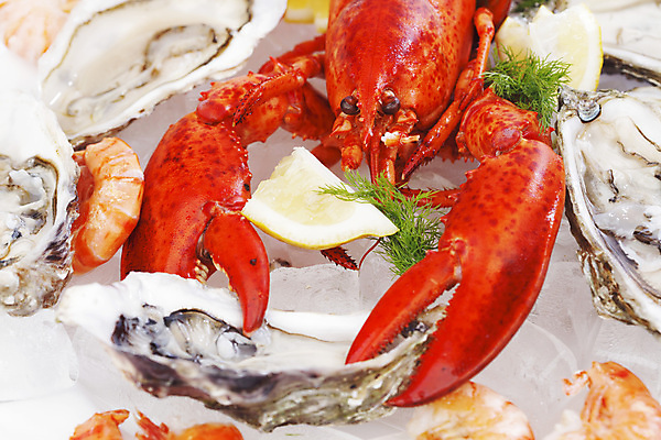 포토 JPG 해외이미지 접시 사람없음 얼음 굴 잡기 바닷가재 해산물 집게발 해외202004 해외202105 해외포토 자연요소 식기 모션 어패류 가재 파일형식