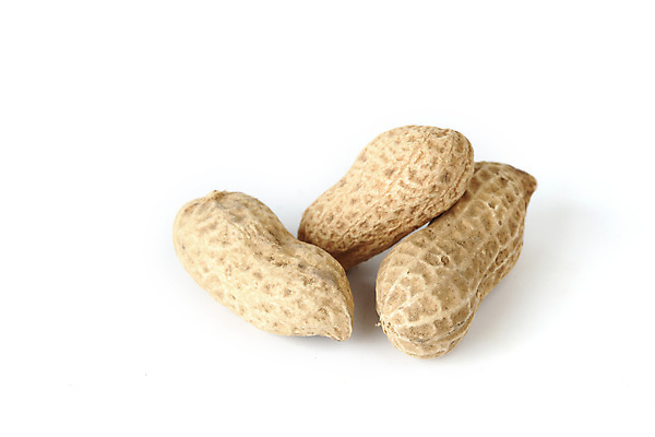 포토 JPG 해외이미지 실내 사람없음 세개 흰배경 땅콩 해외202004 해외202105 해외포토 백그라운드 3 내부 견과류 흰색 파일형식