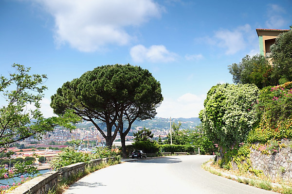 포토 JPG 해외이미지 외관 유럽 문화 무기 여행 건축양식 하늘 낚시 휴가 주택 사람없음 빨간색 파란색 빛 컬러풀 교회 마을 항구 이탈리아 도시 보트 역사 재산 지중해 언덕 육군 타운 로스앤젤레스 해외202004 해외202105 해외포토 건축 나라 바다 컬러 배_교통 종교건축 교통시설 레저 군대 건물 금융 미국 파일형식