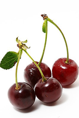 포토 JPG 해외이미지 모양 잡화 음식 줄기 2 농업 곡선 다이어트 과일 디저트 건강 사람없음 빨간색 초록색 빛 숫자 흰색 신선 원형 체리 우아함 달콤 맛 묘사 싱글 유기농 서식 진홍색 비타민 내추럴 고립 숙성 영양분 이국적 줄서기 많음 솔깃 맛있는 해외202004 해외202105 해외포토 도형 식물 문자 웰빙 산업 선 컬러 컨셉 모션 영양소 파일형식