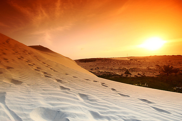포토 JPG 해외이미지 물결 모래 여행 백그라운드 오렌지 아프리카 자연 건조 따뜻함 파노라마 피곤 이집트 풍경 사람없음 야외 빨간색 여름 모래사장 노란색 여행객 일출 맑음 일몰 사막 탐험 뜨거움 고독 갈증 모래언덕 사파리 언덕 지역 모로코 사하라 아랍어 해외202004 해외202105 해외포토 계절 감정 나라 바다 컬러 컨셉 과일 날씨 촬영기법 사람 노을 생태계 파일형식