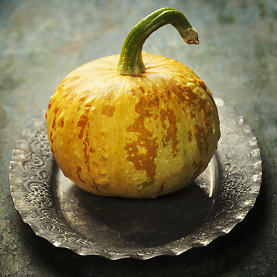 포토 JPG 해외이미지 호박 쟁반 실내 사람없음 농작물 한개 가을 나무바닥 해외202004 해외포토 1 계절 농업 채소 바닥 내부 파일형식