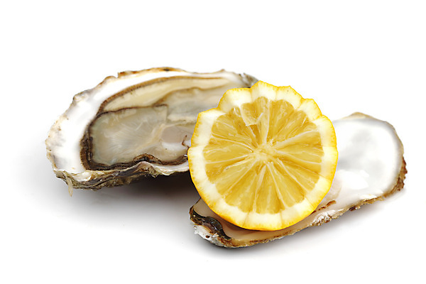 포토 JPG 해외이미지 식재료 실내 근접촬영 사람없음 굴 신선 레몬 흰배경 해외202004 해외202105 해외포토 뷰포인트 백그라운드 과일 어패류 내부 흰색 파일형식