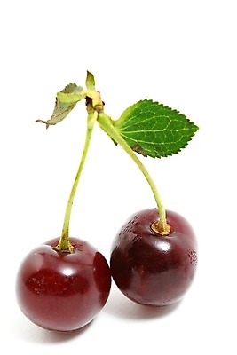 포토 JPG 해외이미지 모양 잡화 음식 줄기 2 농업 곡선 다이어트 과일 디저트 건강 사람없음 빨간색 초록색 빛 숫자 흰색 신선 원형 체리 우아함 달콤 맛 묘사 싱글 유기농 서식 진홍색 비타민 내추럴 고립 숙성 영양분 이국적 줄서기 많음 솔깃 맛있는 해외202004 해외202105 해외포토 도형 식물 문자 웰빙 산업 선 컬러 컨셉 모션 영양소 파일형식