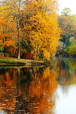 포토 JPG 해외이미지 나무 계절 공원 호수 잎 오렌지 자연 풍경 사람없음 야외 목재 초록색 물 강 반사 노란색 환경 침묵 가을 전원 연못 황금 숲 10월 해외202004 해외202105 해외포토 자연요소 식물 공공시설 컬러 과일 재료 소리 날짜 전기에너지 생태계 파일형식