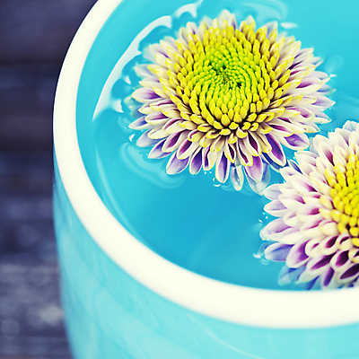 포토 JPG 해외이미지 꽃 실내 근접촬영 사람없음 컵 물 아로마 아로마테라피 해외202004 해외포토 자연요소 식물 식기 뷰포인트 내부 테라피 파일형식