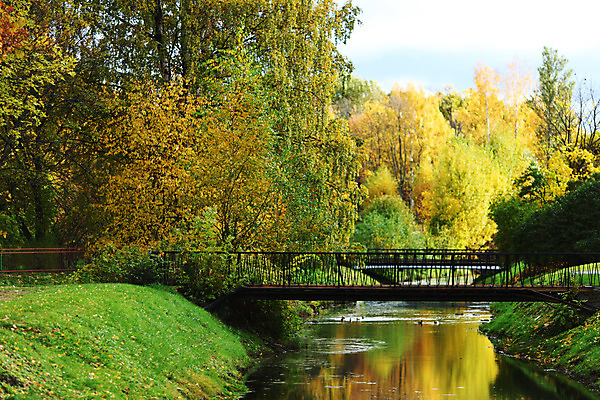 포토 JPG 해외이미지 나무 식물 계절 공원 길 줄기 단풍 잎 오렌지 자연 풍경 사람없음 야외 빨간색 초록색 컬러풀 노란색 평화 걷기 환경 하이킹 가을 나뭇가지 시골 황금 숲 11월 장면 10월 해외202004 해외202105 해외포토 공공시설 컬러 컨셉 과일 모션 레저 날짜 생태계 파일형식