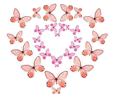 포토 JPG 해외이미지 동물 야생동물 나비 곤충 백그라운드 날개 자연 벽지 안테나 사람없음 봄 질감 공상 해외202004 해외202105 해외포토 계절 통신 생태계 파일형식