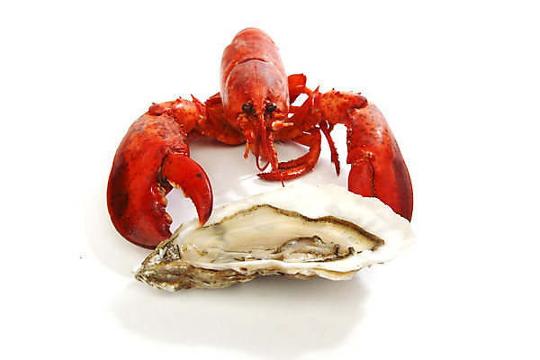 포토 JPG 해외이미지 사람없음 굴 잡기 바닷가재 해산물 흰배경 집게발 해외202004 해외202105 해외포토 백그라운드 모션 어패류 흰색 가재 파일형식