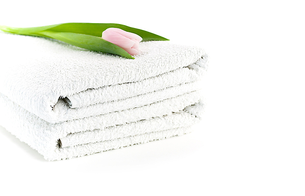 포토 JPG 해외이미지 꽃 사람없음 위생용품 튤립 스파용품 아로마테라피 해외202004 해외포토 식물 생활용품 스파 오브젝트 테라피 파일형식