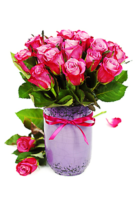 포토 JPG 해외이미지 잎 실내 사람없음 장미 꽃병 흰배경 담기 해외202004 해외포토 식물 꽃 백그라운드 모션 내부 흰색 파일형식