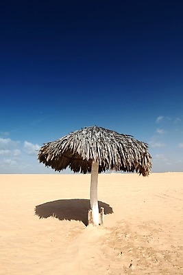 포토 JPG 해외이미지 나무 모래 여행 의자 우산 하늘 호텔 휴가 휴식 열대 따뜻함 손바닥 해변 사람없음 책 여름 파란색 모래사장 태양 쌓기 맑음 만 휴게실 그늘 읽기 휴양지 양산 북쪽 밀짚 남쪽 해외202004 해외202105 해외포토 자연요소 식물 손 계절 바다 컬러 가구 컨셉 모션 숙소 날씨 장소 짚 방향 파일형식