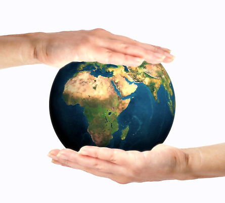 포토 JPG 해외이미지 손 컨셉 돈 비즈니스 곰 사람없음 상점 금속 동전 가을 변화 시장 재산 떨어짐 구매 미끄러짐 주식 주기 황소 낭비 분실 수입 비용 해외202004 해외202105 해외포토 동물 계절 포유류 모션 재질 신체부위 금융 경제 쇼핑 소 파일형식