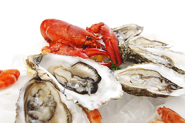 포토 JPG 해외이미지 접시 사람없음 얼음 굴 잡기 바닷가재 해산물 흰배경 집게발 해외202004 해외202105 해외포토 자연요소 식기 백그라운드 모션 어패류 흰색 가재 파일형식