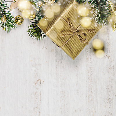 포토 JPG 해외이미지 잎 크리스마스장식 크리스마스 크리스마스용품 실내 사람없음 선물상자 흰배경 보케 카피스페이스 크리스마스배경 해외202004 해외포토 식물 기념일 백그라운드 선물 내부 상자 공백 흰색 용품 파일형식