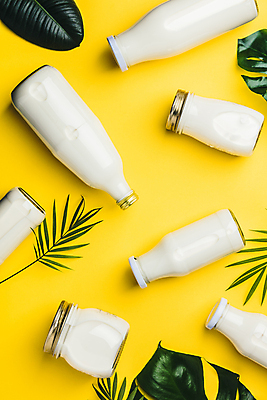 포토 JPG 해외이미지 잎 유리병 건강 사람없음 하이앵글 우유 우유병 유기농 노란배경 몬스테라 칼슘 해외202004 해외포토 식물 웰빙 뷰포인트 백그라운드 병_용기 유제품 노란색 파일형식