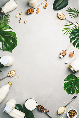 포토 JPG 해외이미지 접시 잎 실내 사람없음 숟가락 우유 견과류 우유병 흰배경 호두 코코넛 아몬드 대두 카피스페이스 귀리 해외202004 해외포토 식물 식기 백그라운드 과일 병_용기 유제품 곡류 수저 내부 공백 흰색 파일형식