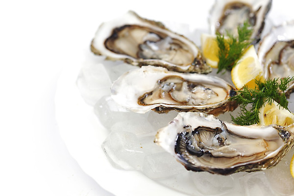 포토 JPG 해외이미지 접시 식재료 실내 사람없음 아웃포커스 얼음 굴 신선 레몬 흰배경 해외202004 해외202105 해외포토 자연요소 식기 백그라운드 과일 어패류 촬영기법 내부 흰색 파일형식