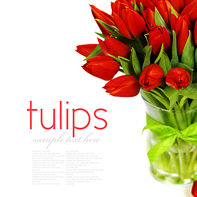 포토 JPG 해외이미지 리본 꽃다발 타이포그라피 사람없음 꽃병 튤립 흰배경 카피스페이스 해외202004 해외포토 문자 꽃 백그라운드 공백 흰색 파일형식