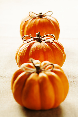 포토 JPG 해외이미지 리본 호박 실내 사람없음 농작물 가을 흰배경 일렬 해외202004 해외포토 계절 백그라운드 농업 채소 내부 흰색 파일형식