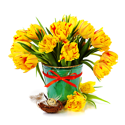 포토 JPG 해외이미지 리본 화분 꽃다발 부활절 실내 사람없음 튤립 둥지 깃털 흰배경 메추리알 해외202004 해외포토 기념일 꽃 백그라운드 내부 알 흰색 파일형식