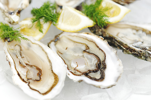 포토 JPG 해외이미지 식재료 실내 근접촬영 사람없음 아웃포커스 얼음 굴 신선 레몬 흰배경 해외202004 해외202105 해외포토 자연요소 뷰포인트 백그라운드 과일 어패류 촬영기법 내부 흰색 파일형식