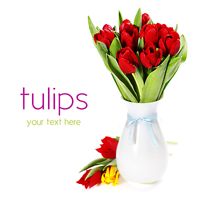 포토 JPG 해외이미지 리본 꽃다발 타이포그라피 사람없음 꽃병 튤립 흰배경 해외202004 해외포토 문자 꽃 백그라운드 흰색 파일형식