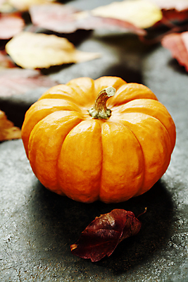 포토 JPG 해외이미지 낙엽 호박 실내 사람없음 아웃포커스 농작물 한개 가을 해외202004 해외포토 1 계절 잎 농업 채소 촬영기법 내부 파일형식