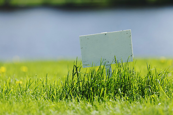 포토 JPG 해외이미지 꽃 밭 자연 탁자 간판 초원 사람없음 야외 초록색 물 여름 파란색 강 노란색 우주 환경 봄 공백 성장 흰색 민들레 사인 해외202004 해외202105 해외포토 자연요소 식물 계절 컬러 가구 농업 생태계 파일형식