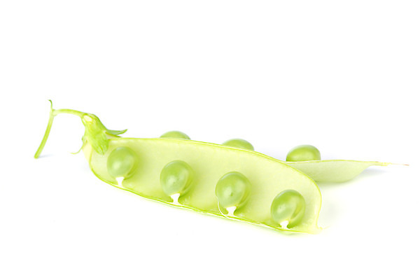 포토 JPG 해외이미지 식물 라이프스타일 음식 줄기 백그라운드 패턴 곡선 다이어트 채소 과일 재료 자연 콩 건강 씨앗 사람없음 초록색 농작물 약 쌓기 성장 흰색 신선 오픈 그룹 시장 닫기 낟알 먹기 오브젝트 유기농 질감 완두콩 날것 심플 내추럴 고립 꼬투리 숙성 줄서기 채식주의자 비건 해외202004 해외202105 해외포토 웰빙 선 컬러 무늬 농업 의학 모션 곡류 생활 생태계 채식 파일형식