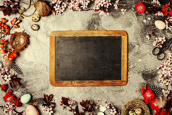 포토 JPG 해외이미지 회색배경 부활절 실내 사람없음 하이앵글 칠판 벚꽃 둥지 깃털 부활절계란 노끈 메추리알 카피스페이스 해외202004 해외포토 기념일 꽃 줄 뷰포인트 백그라운드 내부 계란 알 공백 회색 파일형식