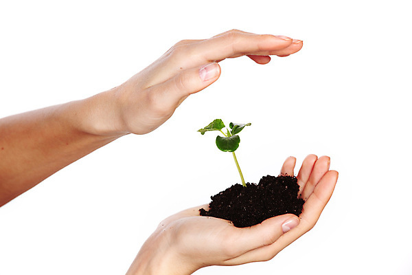 포토 JPG 해외이미지 식물 손 백그라운드 컨셉 잎 농업 자연 성공 새로움 아이디어 씨앗 사람 사람없음 초록색 환경 흙 성장 흰색 잡기 보호 작음 시작 에코 유기농 생태계 원예 뿌리 먼지 팔 고립 돌봄 모종 묘목 생태학 세련 해외202004 해외202105 해외포토 나무 웰빙 교육 산업 컬러 모션 취미 신체부위 크기 파일형식