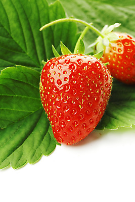 포토 JPG 해외이미지 열매 잎 과일 딸기 사람없음 내추럴 국경 해외202004 해외202105 해외포토 식물 파일형식