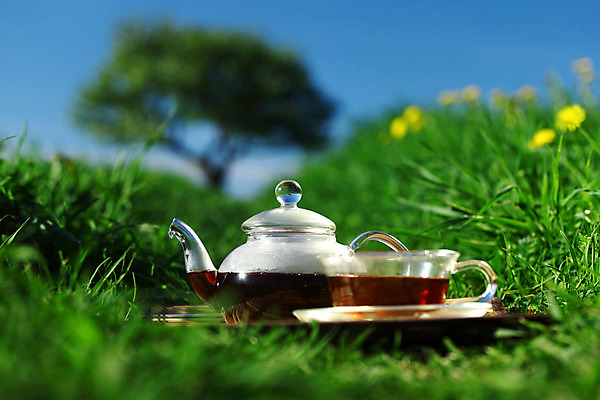 포토 JPG 해외이미지 나무 구름 1 전통 계절 지구 음료 분홍색 백그라운드 잎 밭 자연 유리 하늘 휴식 새로움 건강 풍경 사람없음 목재 빨간색 초록색 여름 파란색 반사 평화 환경 검은색 봄 흰색 신선 뜨거움 개 차 떨어짐 냄비 수증기 큼 찻주전자 허브 심볼 내추럴 점심식사 양조 옛날 해외202004 해외202105 해외포토 자연요소 식물 컬러 컨셉 농업 재료 포유류 재질 주전자 식사 솥 크기 생태계 파일형식