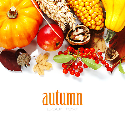 포토 JPG 해외이미지 열매 낙엽 호박 실내 옥수수 타이포그라피 사람없음 농작물 벼 가을 사과 흰배경 호두 도토리 추수감사절 카피스페이스 해외202004 해외포토 식물 문자 계절 기독교 백그라운드 잎 농업 채소 과일 곡류 내부 공백 견과류 흰색 파일형식