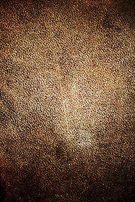 포토 JPG 해외이미지 동물 디자인 옷 리본 종이 백그라운드 크리스마스 패턴 자연 표면 추상 휴가 선물 미술 사람없음 장식 파란색 갈색 파티 유행 어둠 수확 골동품 흰색 축하 직물 거친 소 고급 닫기 선탠 가죽 피부 질감 복고 날것 층 한조각 내추럴 고립 그런지 소가죽 옛날 해외202004 해외202105 해외포토 1 기념일 컬러 컨셉 무늬 농업 포유류 모션 문화예술 이벤트 신체부위 생태계 파일형식