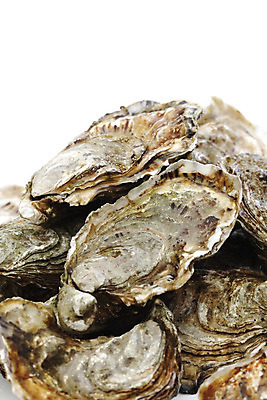 포토 JPG 해외이미지 식재료 실내 사람없음 아웃포커스 쌓기 굴 신선 흰배경 해외202004 해외202105 해외포토 백그라운드 모션 어패류 촬영기법 내부 흰색 파일형식