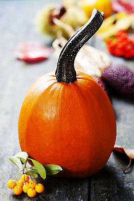 포토 JPG 해외이미지 열매 호박 실내 사람없음 아웃포커스 농작물 가을 나무바닥 해외202004 해외포토 식물 계절 농업 채소 바닥 촬영기법 내부 파일형식