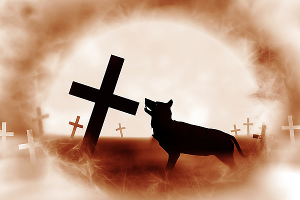 포토 JPG 해외이미지 실루엣 별 기독교 종교 컨셉 십자가 일러스트 상상 자연 미래 그림자 풍경 사람없음 가로 빛 3D 검은색 어둠 꿈 회색 안개 달 죽음 원형 야간 그늘 대표 신비 무서움 달빛 리더 유기농 상승 만들기 신성 늑대 고딕 웅장함 회복 수평선 해외202004 해외202105 해외포토 자연요소 도형 웰빙 감정 컬러 포유류 모션 날씨 촬영기법 디지털합성 생태계 파일형식