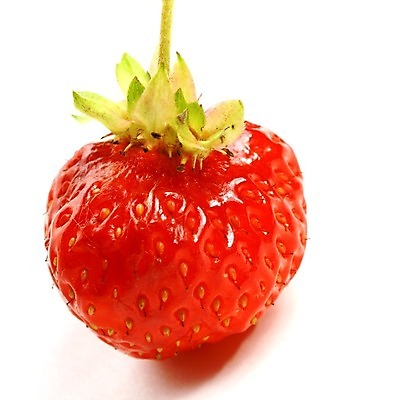 포토 JPG 해외이미지 1 열매 음식 백그라운드 과일 딸기 사람없음 빨간색 여름 흰색 신선 닫기 달콤 묘사 싱글 고립 숙성 해외202004 해외202105 해외포토 식물 계절 컬러 모션 맛 파일형식